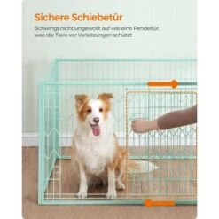 FEANDREA Welpenauslauf 4-teilig Schwarz Mintgrün -KONG Verkäufe 35628eced21c5b790a038ff766d6461fd7692ef2 1500915 de DE 85cc3af176bad61013c5779ea5a3c5652966689aKZhajB