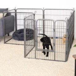 Lionto Freilaufgehege Welpen Gitterfreil 60 Cm, 1 Cm, 80 Cm -KONG Verkäufe 36b609c51e916046b581efda5ea6811e2c829bd8 1498016 de DE 794da90c9076c5cc9e9eae67a633691d7c219be8EE6Vlo