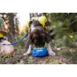 Ruffwear Trail Runner™ Napf -KONG Verkäufe 379fe16a7a50c8e71290f739965451bab58f5404 1651571 de DE cc80a2ec211d680722d58d483cd6e35959c0ef22Kohbda