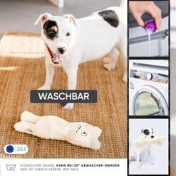 Freudentier Nachhaltiges Hundespielzeug Daniel -KONG Verkäufe 399eb762da5db839e1d54b11a980f1adc24ffa3a 1408970 de DE 4fae29de579b316485a3de702f2c6d8ee3ac7b4f8TlZcj