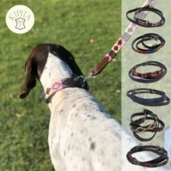 Kipita Polo Hundeleine Gentle -KONG Verkäufe 3c22838a79bc7af3474895a7e8e5a18eca0d8450 1410958 de DE 94785adc580a93927e4b0cb51b07c4918be085d8mZuHLN