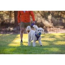 Ruffwear Huckama™ Spielzeug Violett -KONG Verkäufe 3c9858f23e189df169fef8e6b079b9b80afe5185 1639706 de DE 22affde3e5114f0c2b5db19a77f0508968440a74megCgS