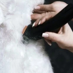 Moser Schermaschine Arco Pro -KONG Verkäufe 3e5298b3656d28f017bce510a0e1de7f397c869d 116095204b214f2dcd4eabf0f13676dba14e1568