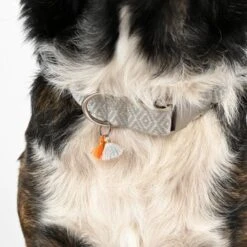 THE DOG IDEA Boho-Chic Halsband Ivy L -KONG Verkäufe 408ee4922683c869ff3d5c80037608142ac784fa 1662813 de DE f1cb924f7e4bbede434464b92844c6ba826fe8efNRNdW0