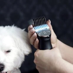 Moser Schermaschine Arco Pro -KONG Verkäufe 40ef7305d02adfa1e7f02419155d4bf8a7f8bc5f ded03a7382d6d951ac273b80f73350fef15f6275