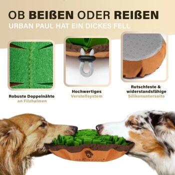 URBAN PAUL Schnüffelteppich - Grün 4 URBAN PAUL Schnüffelteppich - Grün – Bild 4