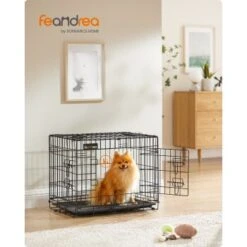 FEANDREA XL Hundekäfig Mit 2 Türen 61 Cm, 43,5 Cm, 50,5 Cm -KONG Verkäufe 41b80d06c7159ed8f4bb8b7d3dd30c7c721526dc 1500918 de DE 0dd5a36f15bb7208d64e99f6c674306a2e8c7a14GCNa3V
