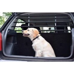 Dobar Walky Guard Plus: Schutzgitter Auto, Schwarz -KONG Verkäufe 41d7ee2a9423085ba0393e76bd6d1d02fdbe063a 7911175c22f912220f235061668a79bcd2f2f350