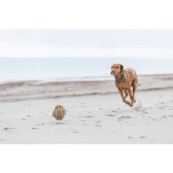 Trixie BE NORDIC Tau-Ball 18cm 11 Trixie BE NORDIC Tau-Ball 18cm -KONG Verkäufe 425e9ce320653651c720fb86d129e2e950da8863 1317741 de DE Trixie be nordic Tau Ball wb 5