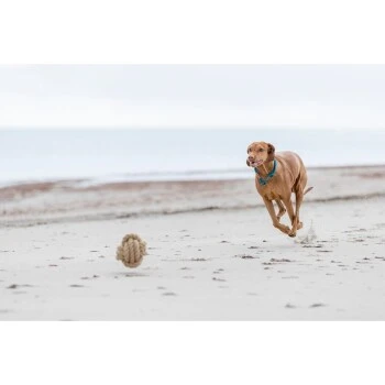 Trixie BE NORDIC Tau-Ball 18cm 6 Trixie BE NORDIC Tau-Ball 18cm – Bild 6