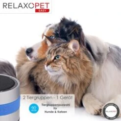 RelaxoPet EASY Tierentspannungs-Trainer Für Hunde Und Katzen -KONG Verkäufe 4476be157af12df554867b6e93f144b9ceb36a4a 1396143 de DE d434b17460c4f49edf8862d0c0ea4bbeca4221e3ODM7na