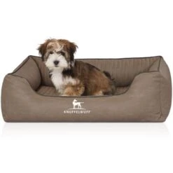 Knuffelwuff Orthopädisches Hundebett Columbia Aus Laser-gestepptem Kunstleder Stone Clay M-L 7 Knuffelwuff Orthopädisches Hundebett Columbia Aus Laser-gestepptem Kunstleder Stone Clay M-L -KONG Verkäufe 47c92a57602f687c6095d53b46b9ef5c222ec6db 1411988 de DE 7d0d998f7e88952033b06ef3262d7d150f2bedf5NmxHjF