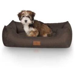 Knuffelwuff Hundebett Dreamline Aus Velours Braun M-L -KONG Verkäufe 4874a718fee5f0bdcb64f710c17c88a67ef28955 1411758 de DE dafae6b74b3af75ee424a346e8806ecd50415f171FsFRH
