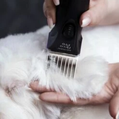 Moser Schermaschine Arco Pro -KONG Verkäufe 4a8923d4e135d6dcdc4b5babae8a3f589e005869 01419b78963226934274d63a024e8d91d3673041