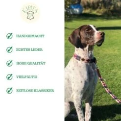 Kipita Polo Hundeleine Gentle -KONG Verkäufe 4c7d807d8dc9f13c021acc13ed364f071968f707 1410958 de DE ab73ccff7516f69dc6994bbfcac2aa883cd0ea252lbuCU