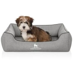 Knuffelwuff Orthopädisches Hundebett Amelie Aus Velours Mit Handwebcharakter Grau M-L -KONG Verkäufe 51bc651256f42fcb08a597bbca1431b778b9dc7f 1411829 de DE b3bf67a8530e0f79acc3c0e7e4dd76d3e8e166d14nlbOt