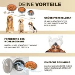 URBAN PAUL Schnüffelteppich - Grau -KONG Verkäufe 52a57a465e43989eb626f909380e9a43fc6d422f 1477265 de DE 2e0326d2412135da4b4dbf18500c90d40ebe94e0B4HI12