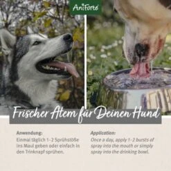 Aniforte Dentalspray Zahnpflege Spray 100ml -KONG Verkäufe 5407327dc1ff8b3c62918c78a261300c797ac1a5 1439278 de DE d65d8e1ebeada7690aae8d6a4c6fc70cb3dbb3e9igaN3s