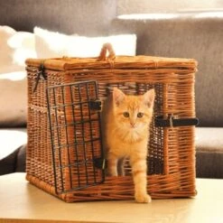 Aumüller Katzenhöhle Eckig -KONG Verkäufe 55450489d235d9ce83ff96cc8b4e3c05d5f9850a a4c4ea7cad20b9a0abc8b1ae89e0fbac9d4fe21f