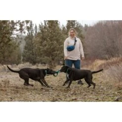 Ruffwear Pacific Ring™ Spielzeug Blau/ Türkis -KONG Verkäufe 55dba30b9a5e3fc77d29bb72e0dc6fad83c40ffc 1444351 de DE 8a3b2d989e7fae2c85eabfcfca3bb7709484f9a3jKDH9l