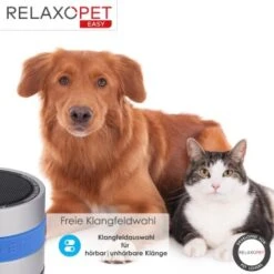 RelaxoPet EASY Tierentspannungs-Trainer Für Hunde Und Katzen -KONG Verkäufe 5754cb551b55ed2778c35b5fa9c1b4cf5c64bd93 1396143 de DE d6dd87ba4d04dec8064cef17c9c335b54fc559f06qKsrV