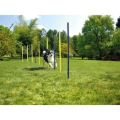 AniOne Agility Set -KONG Verkäufe 57d0a4066068001e9199a8836922b7a9a69a9a13 5b90fc3282e3f36a151043eb4999c7a431fb4558
