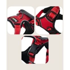 Lionto Hundegeschirr Rot S -KONG Verkäufe 5a9c2faebeb4747b2afd82d7d5d5323e17e8bf1f 1505063 de DE 0cfb49c83d4fbb2e533c75bc4900c295939b50fcQFbqJQ