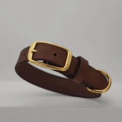 THE DOG IDEA Leder Halsband Braun M -KONG Verkäufe 5bac949feea5d5f59c7e6751952069a5862426be 1674220 de DE 8b6455ef1d4dab4e1be6bed35e5373bf84958058k1WBYW