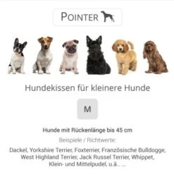 Pointer Liegekissen Khaki M -KONG Verkäufe 5c95e0c5cd34d73a5613280bd9c008b2338ac28e 65d97dccf50f65346fc9d81c1d0c8309bc74a4d7
