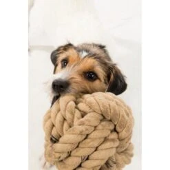 Trixie BE NORDIC Tau-Ball 18cm 8 Trixie BE NORDIC Tau-Ball 18cm -KONG Verkäufe 5d869bc7db02b7e845c1175f2c29e4b87c83aa5e 1317741 de DE Trixie be nordic Tau Ball wb 3