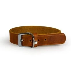 Das Lederband Halsband Weinheim Maroon 1,2 Cm, 27 Cm