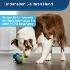 PetSafe Elektronisches Hundespielzeug Ricochet -KONG Verkäufe 5eadda9b8e1c472d17e8160a968897c5f1589a26 1418724 de DE f0080b3bce77c44349e2b70b9453ceaf44e2d3d6nqnVTG
