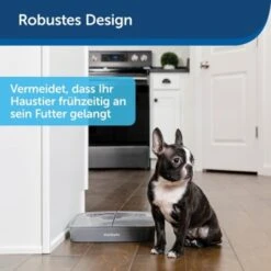 PetSafe Futterautomat Für 2 Mahlzeiten -KONG Verkäufe 60a1e1a248bbac9e66428598825905119776c581 c7814f5d9095fb70865838cf69fed542d9727140
