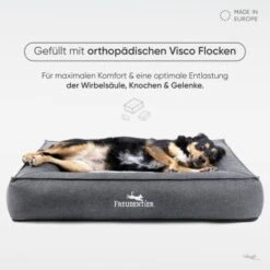 Freudentier Orthopädisches Box Hundebett Siebenschläfer M -KONG Verkäufe 61723156d2f7b54e22f71e43abc1163a7ef00ee3 1477909 de DE 93feee0eca897413bd7276c1693c404746a7a792qKZ8IZ
