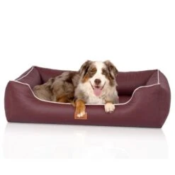 Knuffelwuff Orthopädisches Hundebett Aus Kunstleder Lovelock Bordeaux M-L 9 Knuffelwuff Orthopädisches Hundebett Aus Kunstleder Lovelock Bordeaux M-L -KONG Verkäufe 6255a556979a4796fcbc28c238da9224cfb8661f 1412201 de DE 815d50cee4eb3eb78e6ede8d498a09045e4968f0ueFgBo