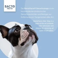 ChronoBalance BactoFacto Probiotischer Geruchsstopp Pads Für 2 Liter 20 Ml -KONG Verkäufe 6515b6e6800e68909a0a5f7e0f816613e8c36542 1397549 de DE 9a466fcf5c88e78df191b07c6d764f4746df49dcxtsIbT