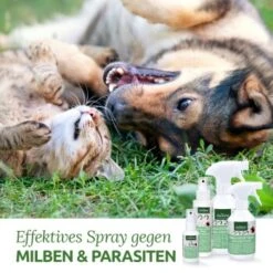 Aniforte Milben-STOP Spray Für Hunde Und Katzen 100 G -KONG Verkäufe 65c573e701babc35d0222949c6f8e5e51e98ed10 1656142 de DE a537cb98349378307bdd6f629cf67a682ee52db6lSupmg