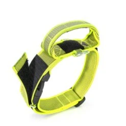 Julius K9 JULIUS-K9 Halsband Mit Griff 50mm Neon Gelb -KONG Verkäufe 6d974eed80600aae5610e6f937ce73cb97345cc1 1346788 de DE K9 3