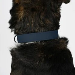 THE DOG IDEA Biothane Halsband Navy Neon Gelb XS 8 THE DOG IDEA Biothane Halsband Navy Neon Gelb XS -KONG Verkäufe 6fd2b4918a3646f398fd352f4f8921fb2db71354 1481054 de DE 2eb47437e49e7285dfb051bfdaad6fee4d199d13okJULW