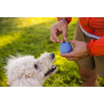 Ruffwear Turnup™ Spielzeug Violett 5 Ruffwear Turnup™ Spielzeug Violett – Bild 5