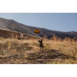 Ruffwear Hover Craft™ Spielzeug Orange -KONG Verkäufe 7111f12b44323f3d6c15a85a889225520ab85f0d 1364297 de DE 664accd36f55b32e3ca302e20a868b09c8c0d85ePbTUSI