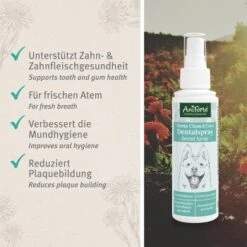 Aniforte Dentalspray Zahnpflege Spray 100ml -KONG Verkäufe 76b59d3300efa876392a1eefab91905b7a37686e 1439278 de DE 2a86e19769df41cf7453969a56c412d427cdffa5IbhBmp