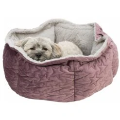 Trixie Bett Estelle Samt-Optik ø 50 Cm Beere/ Grau -KONG Verkäufe 77bb4f5cd7384a9905de3a40eb3a823ce700b54b 1378629 de DE Trixie 6