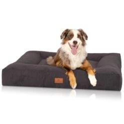 Knuffelwuff Orthopädisches Hundebett Aus Velours Mit Handwebcharakter Sofia Schwarz M-L -KONG Verkäufe 7866a9ee37c544973ba623a007f339621db79188 1412217 de DE ddebd15250c94eee8e106bcaced6cd1e1c5dc83cEquHPd