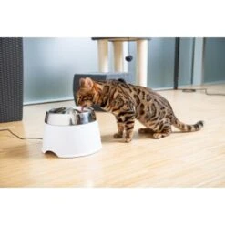 AniOne Edelstahl-Trinkbrunnen Trevi Ohne Ersatzfilter -KONG Verkäufe 7a066af048695bbfaeca0a855e5984fc3bf99d03 689fcf415d486ac05c07f2a4868b1d087d7a9ece