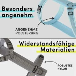 STUCH Geschirr Hund Gepolstert Schwarz XS -KONG Verkäufe 7c1f0c8ff775c50c5b8126957113b6eb05f29ad4 1410595 de DE a4ae0b7a8ffc6f7f19d793017e898bdceeb314c9qzj83S