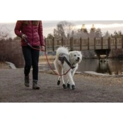 Ruffwear Just-a-Cinch™ Leine Rot -KONG Verkäufe 810d255f702c333fe767503a477f8deb0416cca1 1651622 de DE 84ea7394ca3be445f5b69f032bbb3135c9273b35awu41q