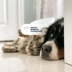 KYVETIN Spray Skin Repair Für Hunde Und Katzen -KONG Verkäufe 851cbfa418e315e47d7ba499ec62be71e3229497 1364195 de DE KyvetinSpray 7