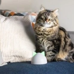 SureFlap Sure Petcare Hub -KONG Verkäufe 852b1bc3a8108075f76c20971c6ccd4d4ae1aeee 64f4b5749fc73b0bad1049a6b67d5e53fa50ba07