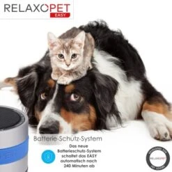 RelaxoPet EASY Tierentspannungs-Trainer Für Hunde Und Katzen -KONG Verkäufe 853cda906465807f35ee136673e2988d11d9068a 1396143 de DE 2c126810b9340300e5a9cdb2fad52c2c1edb1d15q1uQrq